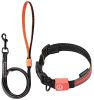 Touchdog 'Lumiglow' 2-in-1 USB Charging LED Lighting Water-Resistant Dog Leash and Collar